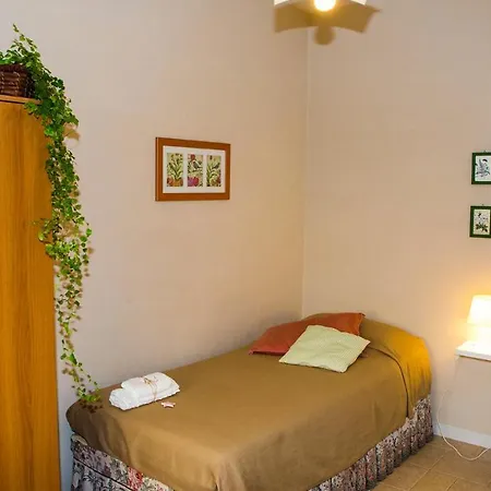 Bright 300 Mt From City Apartamento Lucca